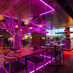 Madame Wu eGift Card - $100 Madame Wu eGift Card - $100